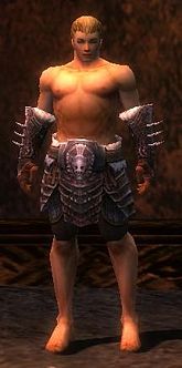 Warrior Norn armor m gray front arms legs.jpg