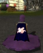 Guild Entire World Counts On Me cape.jpg