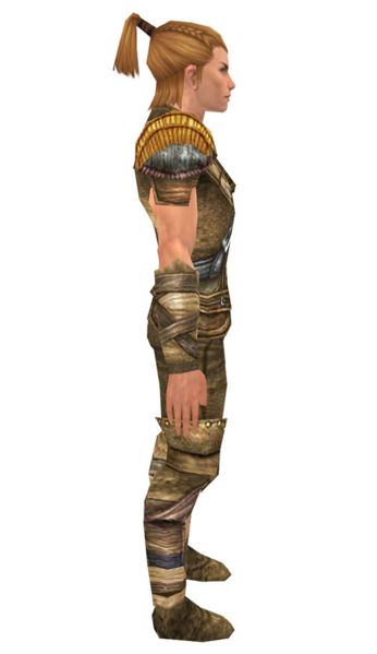 File:Ranger Tyrian armor m dyed right.jpg