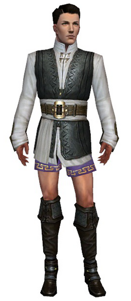 File:Mesmer Monument armor m gray front chest feet.png