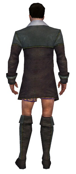 File:Mesmer Tyrian armor m gray back chest feet.png
