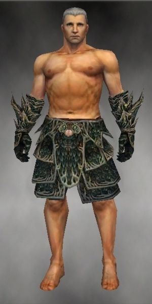 File:Warrior Elite Luxon armor m gray front arms legs.jpg