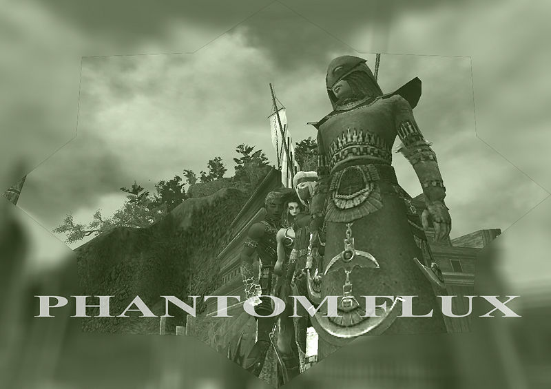 File:Guild Phantom Flux cape.jpg