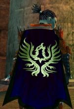 Guild House Of Theives cape.jpg