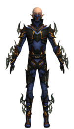 Assassin Elite Kurzick armor m dyed front.jpg