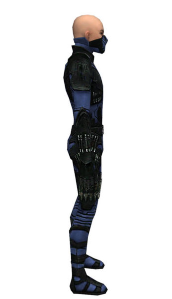 File:Assassin Kurzick armor m dyed right.jpg