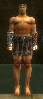Warrior Elite Gladiator armor m gray front arms legs.jpg