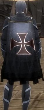 Guild Disciples Of The Lost Gods cape.jpg