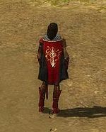 Guild Old World Order cape.jpg