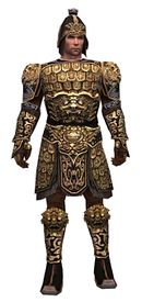 Warrior Canthan armor m.jpg