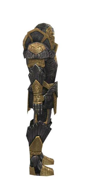 File:Warrior Elite Platemail armor m dyed right.jpg