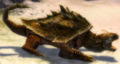 Bonesnap Turtle.jpg