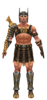 Warrior Elite Gladiator armor m dyed front.jpg