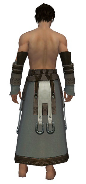 File:Dervish Elonian armor m gray back arms legs.png