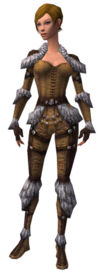 Ranger Elite Fur-Lined armor f.jpg