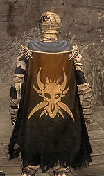 Guild Order Of The Sacred Tongue cape.jpg