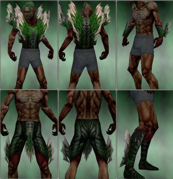 File:Necromancer Primeval armor m green overview.jpg