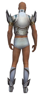 Paragon Asuran armor m gray back chest feet.png