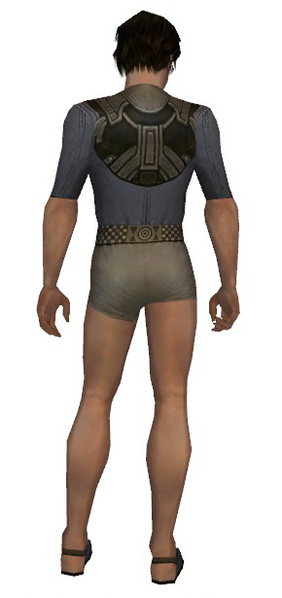 File:Dervish Asuran armor m gray back chest feet.png