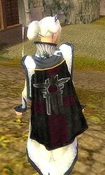 Guild The Shadow Of Angar cape.jpg