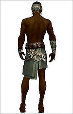 Ritualist Canthan armor m gray back arms legs.jpg