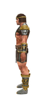 Gallery of male warrior Gladiator armor - Guild Wars Wiki (GWW)