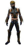 Assassin Exotic armor m.jpg