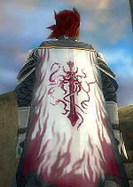 Guild Wretched Riders Of Desolation cape.jpg