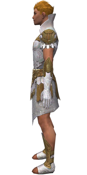 File:Paragon Elonian armor m dyed left.png