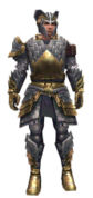 Warrior Templar armor m.jpg