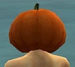 Pumpkin Crown back.jpg