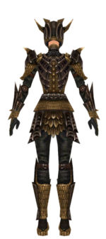 Warrior Elite Dragon armor f dyed back.jpg