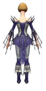 Elementalist Primeval armor f dyed back.jpg