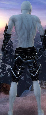 Necromancer Elite Profane armor m black back arms legs.jpg