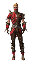 Ranger Asuran armor m.jpg