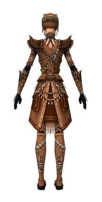 Ritualist Imperial armor f dyed back.jpg