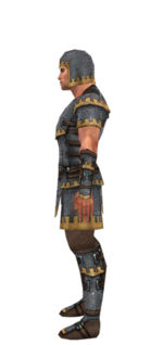 Warrior Tyrian armor m dyed left.jpg