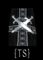 Guild True Sword cape.jpg