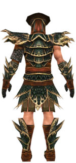 Warrior Luxon armor m dyed back.jpg