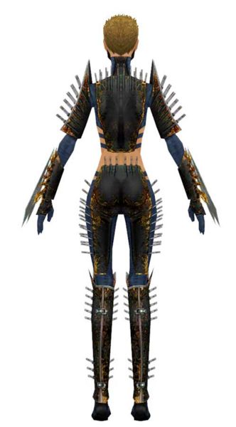 File:Assassin Exotic armor f dyed back.jpg