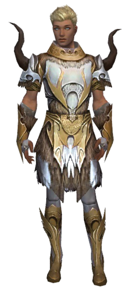 File:Paragon Norn armor m dyed front.png