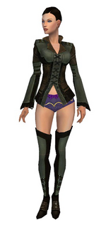 Mesmer Istani armor f gray front chest feet.png