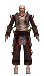 Monk Primeval armor m dyed front.jpg
