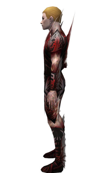 File:Necromancer Primeval armor m dyed left.jpg