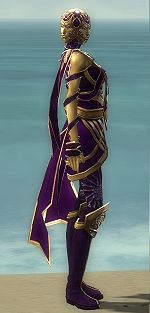 Vision of Lyssa costume f dyed right.jpg