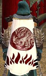 Guild Dragons Of The Crimson Sun cape.jpg