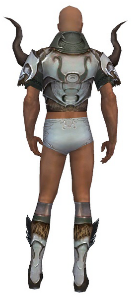 File:Paragon Norn armor m gray back chest feet.png
