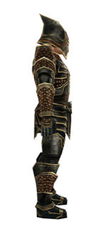 Warrior Kurzick armor m dyed right.jpg