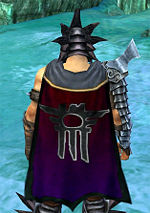 Guild The Guardians Of The Pillars cape.jpg