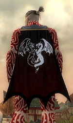 Guild The West Winds cape.jpg